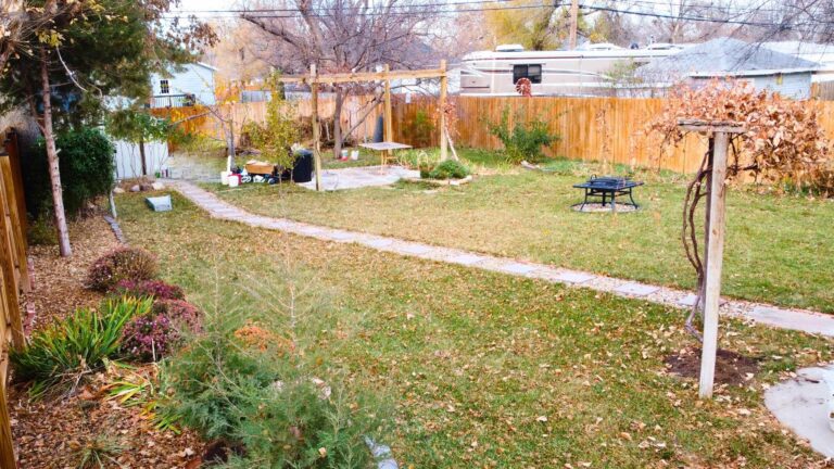 20260036-91bbf78f-c2fa-406e-add7-e7b651cd0f98